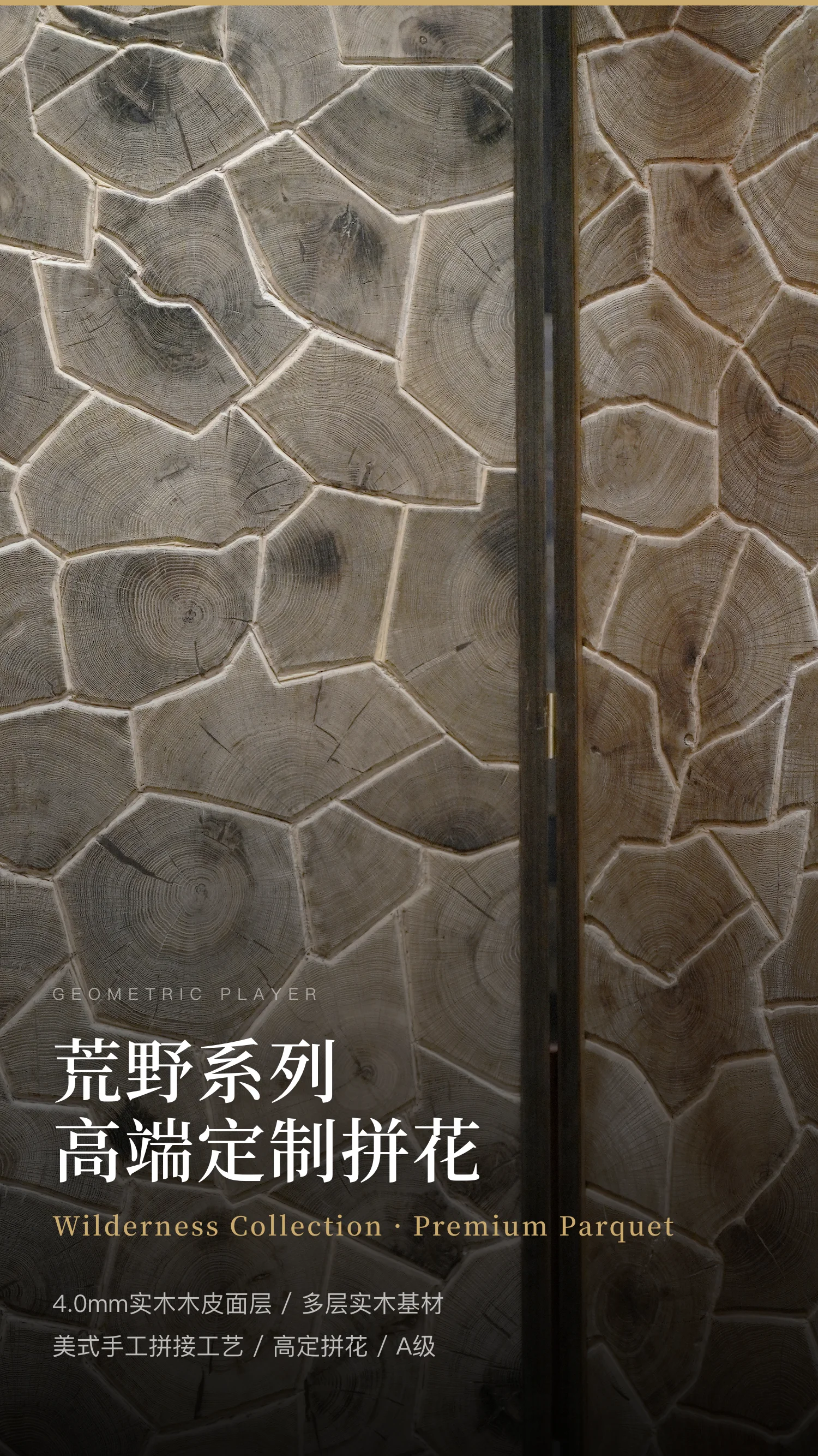 荒野系列 — 1