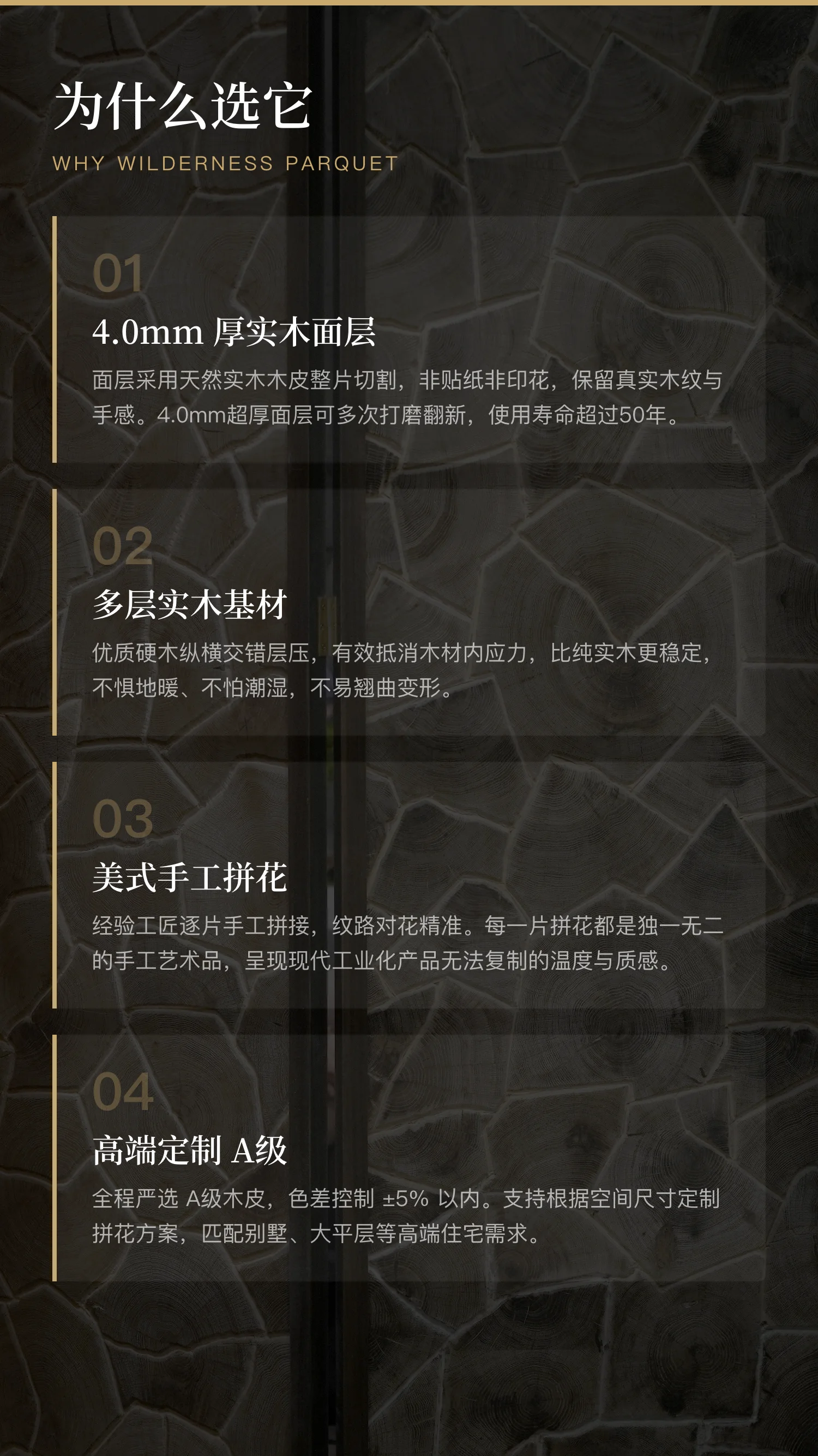 荒野系列 — 3