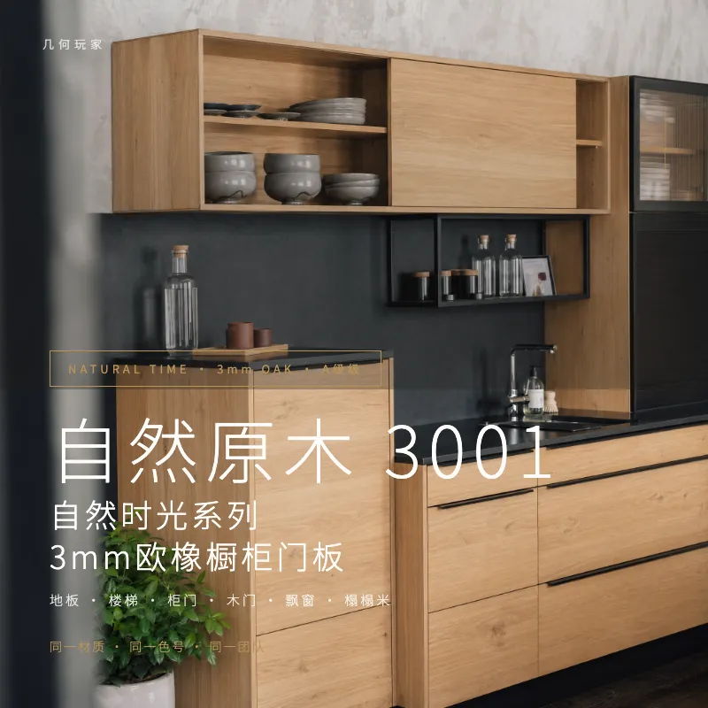 A级橱柜 3001