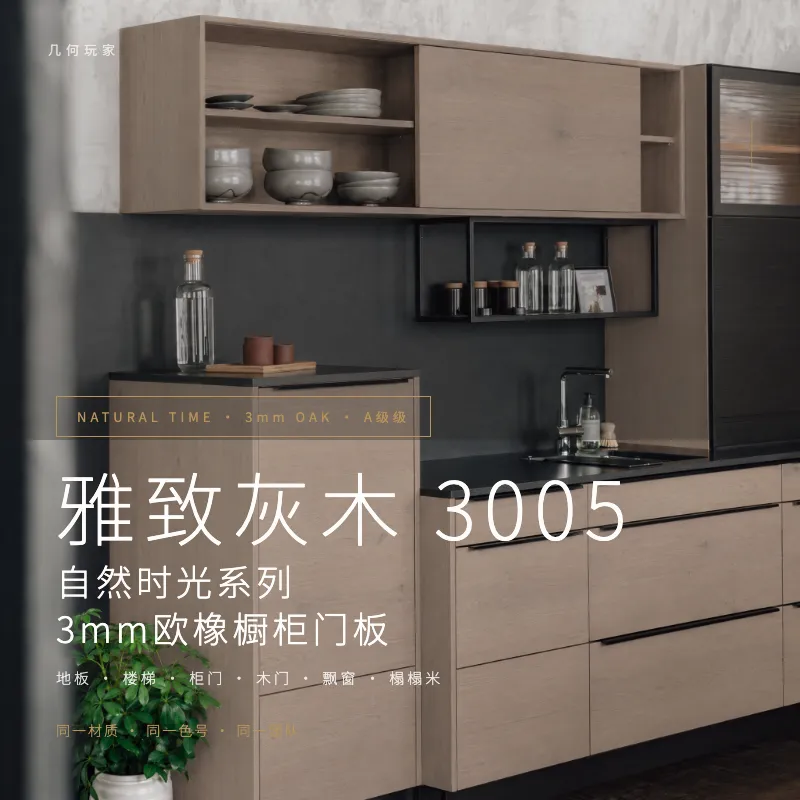 A级橱柜 3005