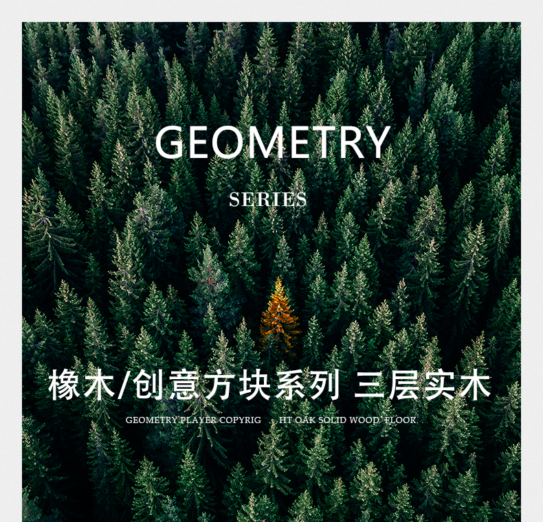 阡陌系列 多层实木拼花美学地板 ENF等级 — 1